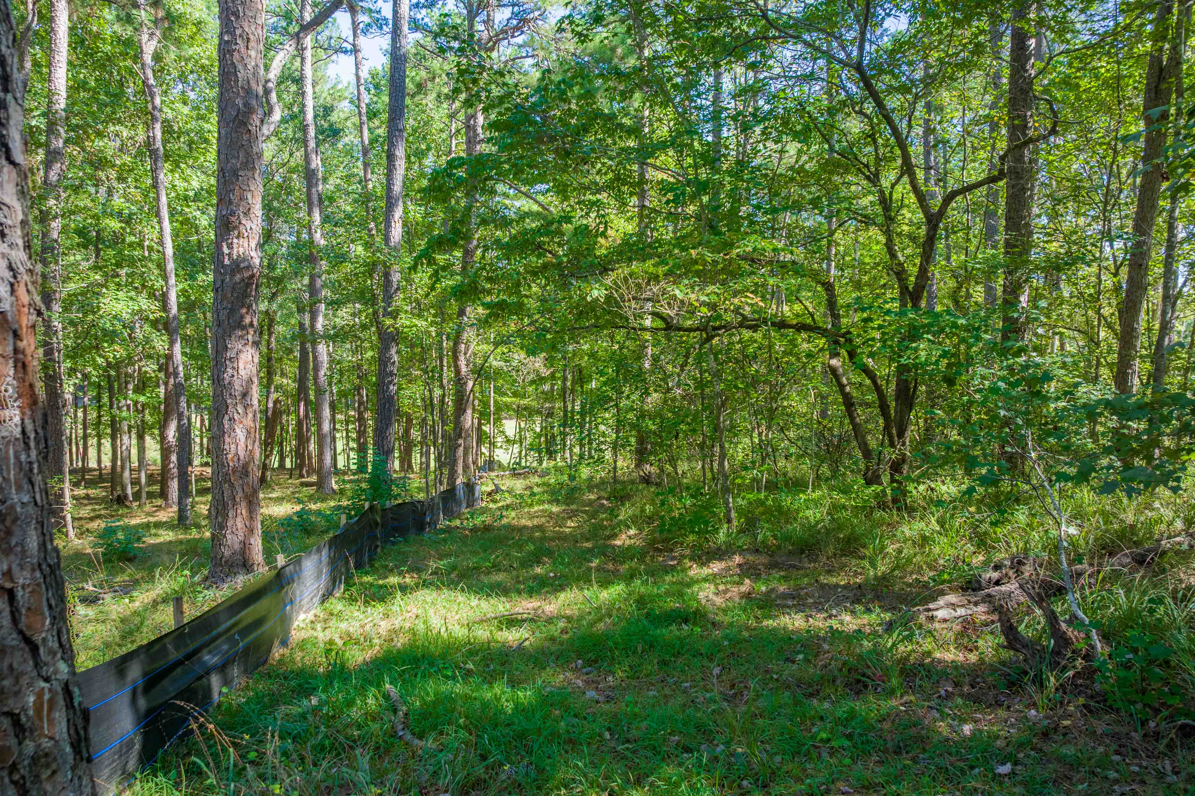1200 Callahan's Ridge Road image 7